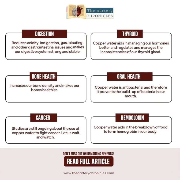 The Aartery Chronicles - Digiyuni Creative Solutions